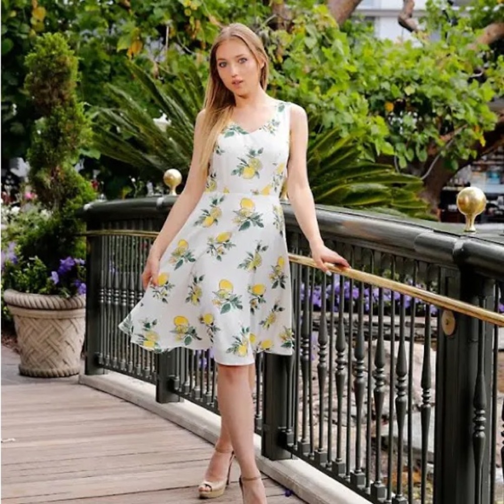 Eva Rose fully lined fit and flare dress with cute lemon print